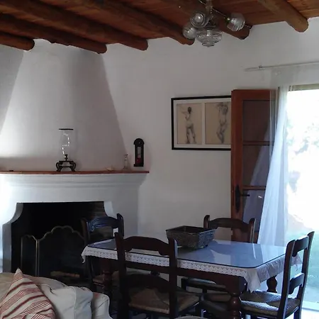 El Gato Сasa de vacaciones *