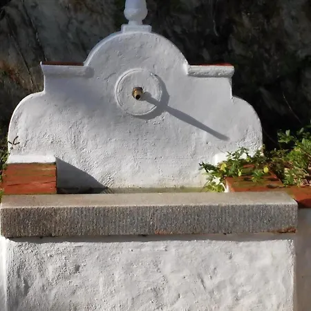 El Gato Aracena